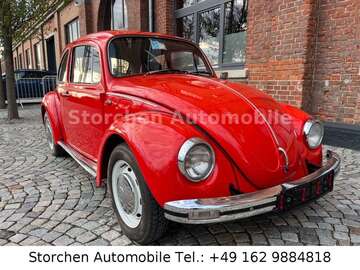 Gebrauchte VW Käfer