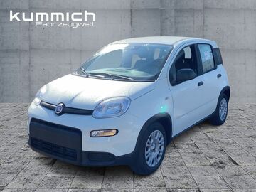 Gebrauchte Fiat Panda