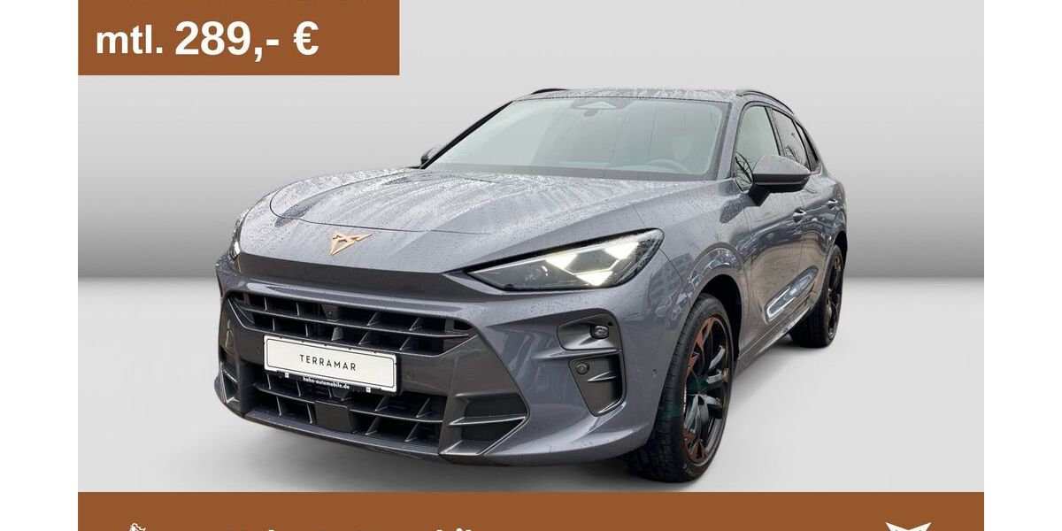 Cupra Terramar 19.999 km 41.395 &euro; Göppingen 73037