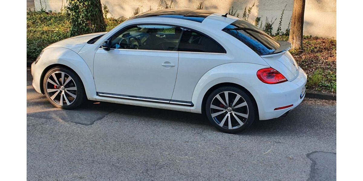 VW Beetle 123.000 km 11.900 &euro; Eschenbach 73107