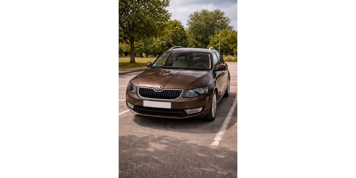 Skoda Octavia 202.097 km 9.300 &euro; Waiblingen (Rems) 71334